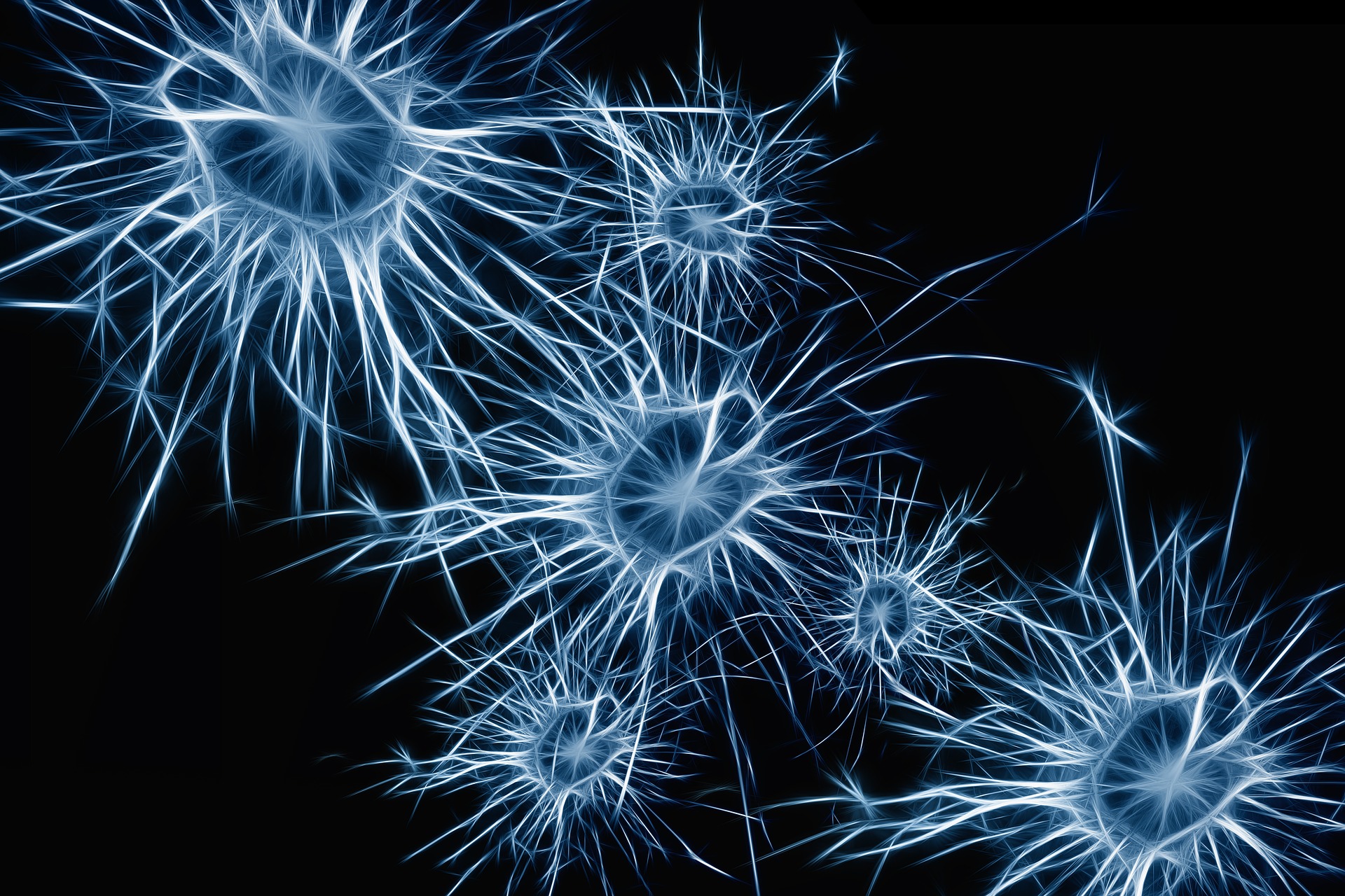 Neuronas espejo, realidad virtual y actividades básicas de la vida diaria Neuronas espejo, realidad virtual y actividades básicas de la vida diaria